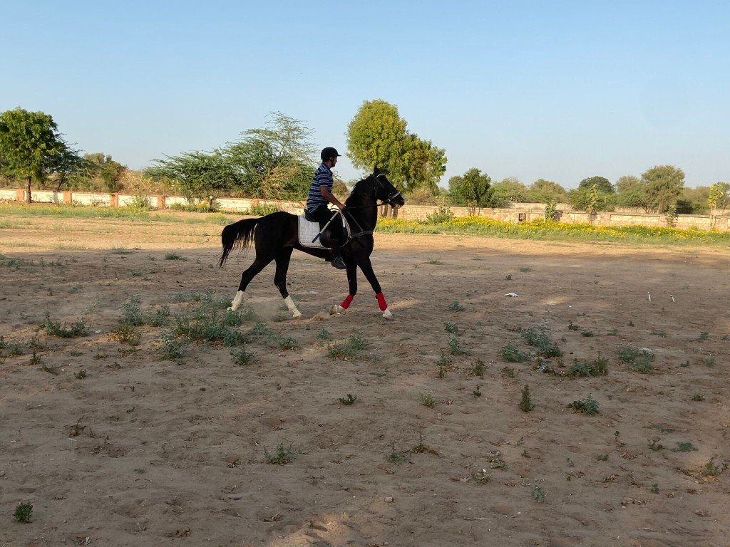 Horse Riding at PRJ Gyanjaya School